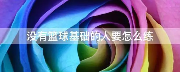 职业篮球运动员如何管理体型以提升表现_1